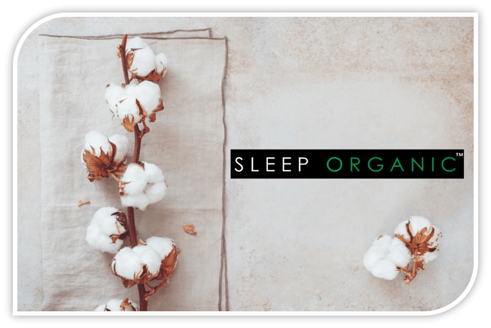 Gift card Sleep Organic; ethical gift; sustainable gift card; digital gift card